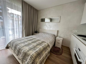 Linos Family Studio, Palanga